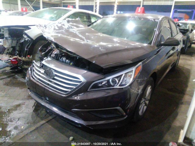 Photo 1 VIN: 5NPE24AF3GH303278 - HYUNDAI SONATA 