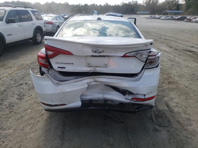 Photo 8 VIN: 5NPE24AF3GH312675 - HYUNDAI SONATA SE 