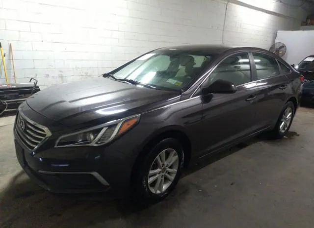 Photo 1 VIN: 5NPE24AF3GH317343 - HYUNDAI SONATA 