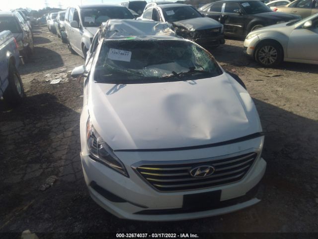 Photo 5 VIN: 5NPE24AF3GH341481 - HYUNDAI SONATA 