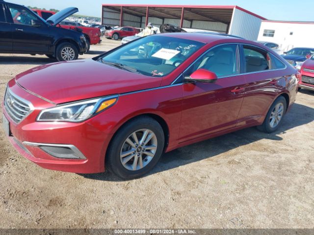 Photo 1 VIN: 5NPE24AF3GH352626 - HYUNDAI SONATA 