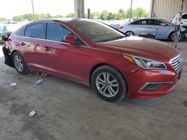 Photo 3 VIN: 5NPE24AF3GH353002 - HYUNDAI SONATA SE 