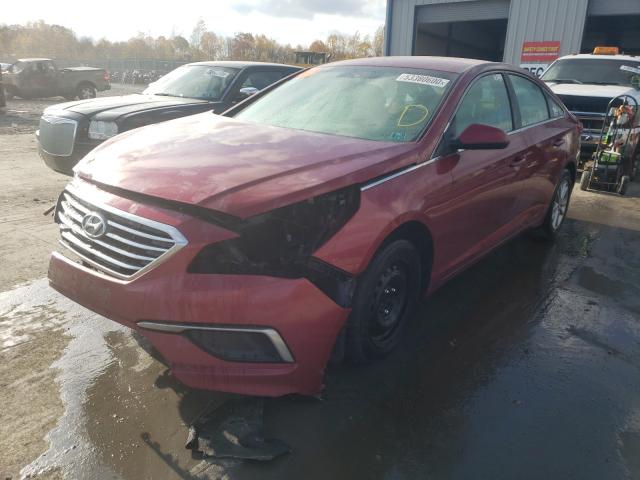 Photo 1 VIN: 5NPE24AF3GH353260 - HYUNDAI SONATA SE 