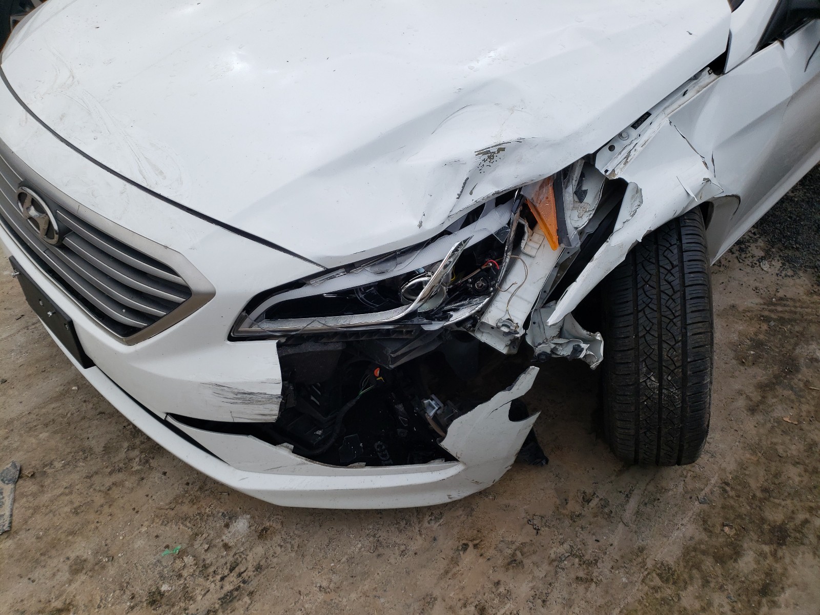 Photo 8 VIN: 5NPE24AF3GH358846 - HYUNDAI SONATA SE 