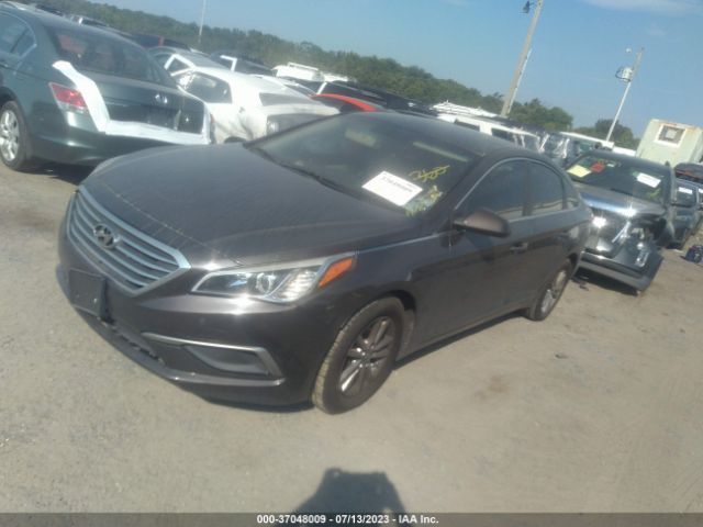 Photo 1 VIN: 5NPE24AF3GH384282 - HYUNDAI SONATA 