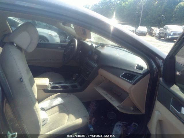 Photo 4 VIN: 5NPE24AF3GH384282 - HYUNDAI SONATA 