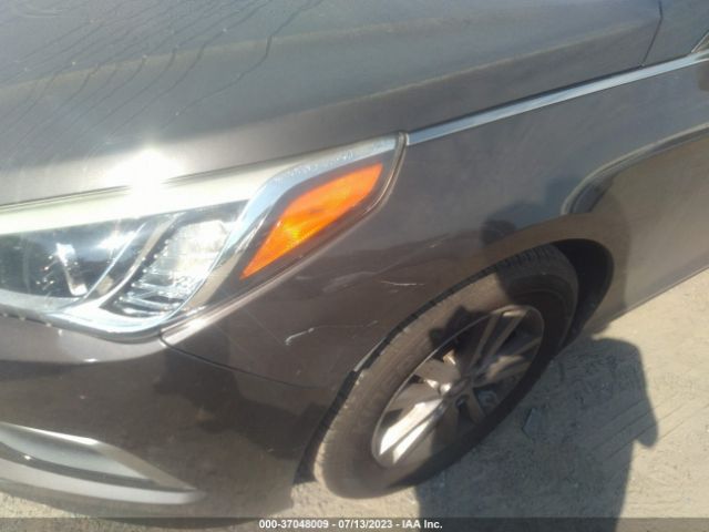 Photo 5 VIN: 5NPE24AF3GH384282 - HYUNDAI SONATA 