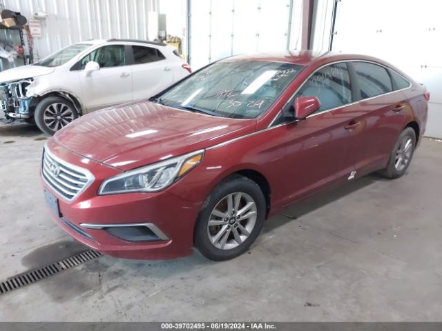 Photo 1 VIN: 5NPE24AF3GH390521 - HYUNDAI SONATA 