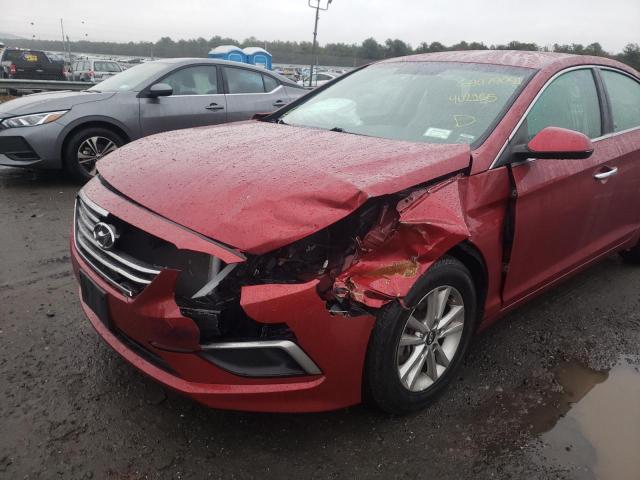 Photo 8 VIN: 5NPE24AF3GH402165 - HYUNDAI SONATA SE 