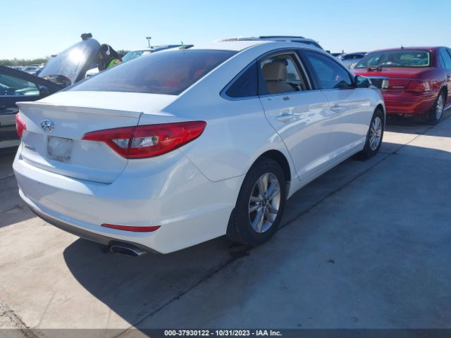 Photo 3 VIN: 5NPE24AF3GH415868 - HYUNDAI SONATA 