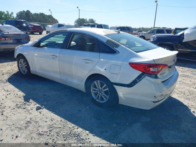 Photo 2 VIN: 5NPE24AF3GH417636 - HYUNDAI SONATA 