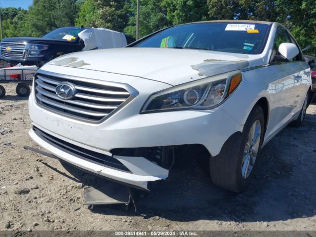 Photo 5 VIN: 5NPE24AF3GH417636 - HYUNDAI SONATA 