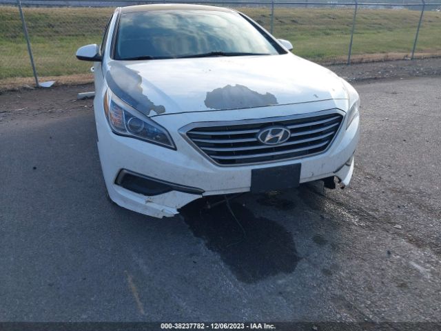 Photo 5 VIN: 5NPE24AF3GH418463 - HYUNDAI SONATA 