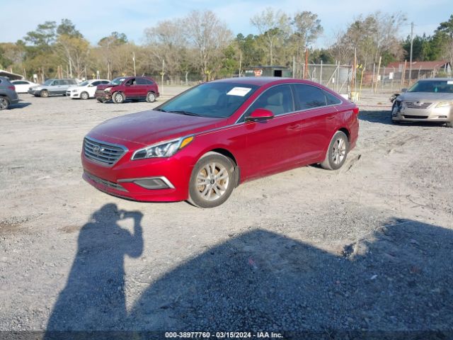 Photo 1 VIN: 5NPE24AF3GH429379 - HYUNDAI SONATA 