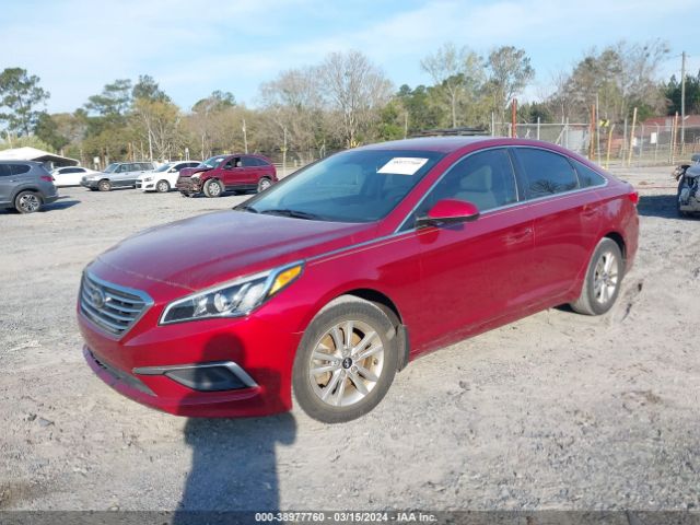 Photo 5 VIN: 5NPE24AF3GH429379 - HYUNDAI SONATA 