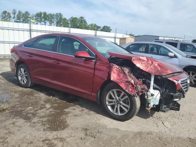 Photo 3 VIN: 5NPE24AF3GH429849 - HYUNDAI SONATA 