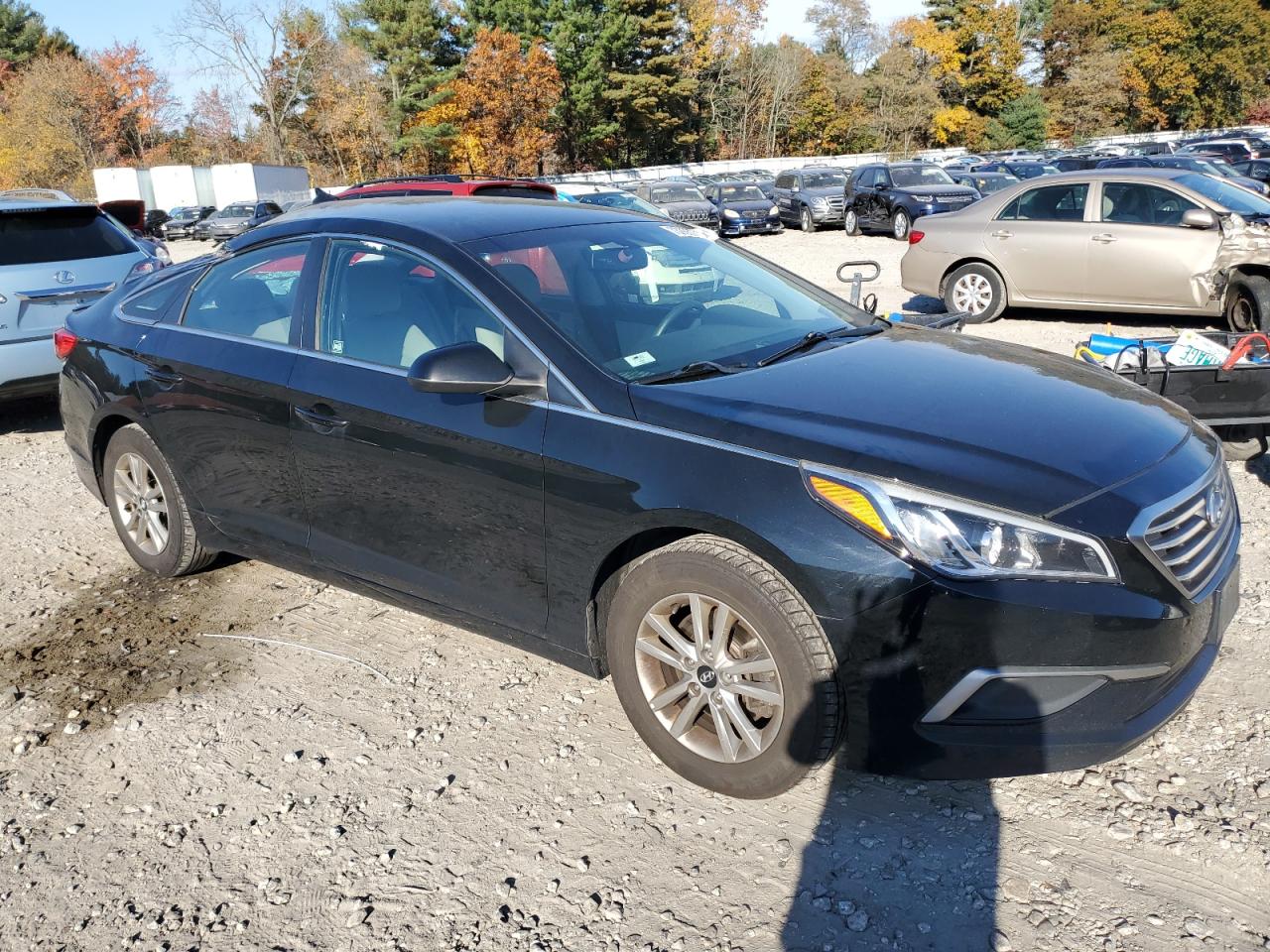 Photo 3 VIN: 5NPE24AF3HH438410 - HYUNDAI SONATA 