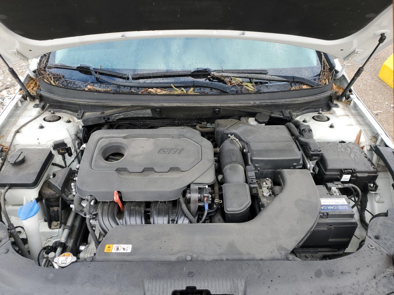 Photo 10 VIN: 5NPE24AF3HH466059 - HYUNDAI SONATA 