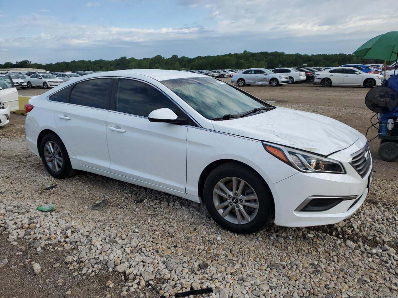 Photo 3 VIN: 5NPE24AF3HH466059 - HYUNDAI SONATA 