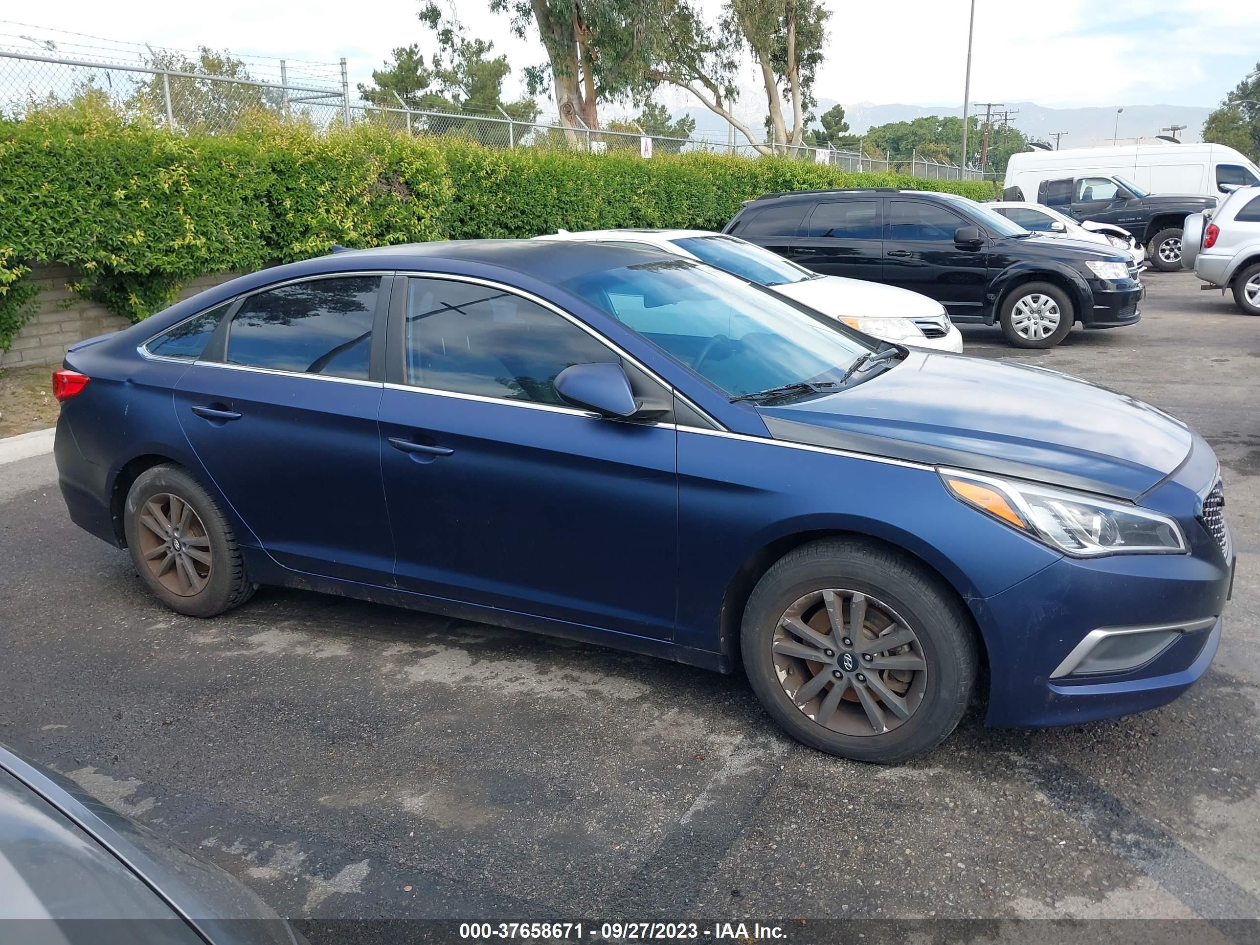 Photo 13 VIN: 5NPE24AF3HH469866 - HYUNDAI SONATA 