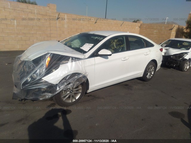 Photo 1 VIN: 5NPE24AF3HH478146 - HYUNDAI SONATA 