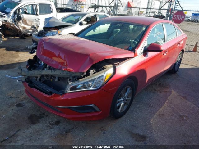 Photo 1 VIN: 5NPE24AF3HH494606 - HYUNDAI SONATA 