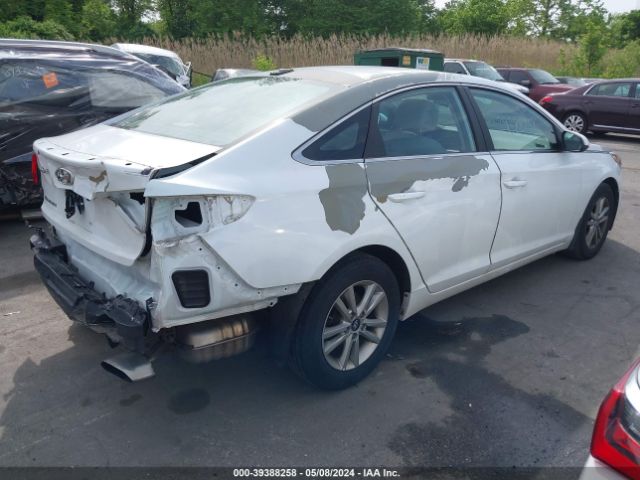 Photo 3 VIN: 5NPE24AF3HH500517 - HYUNDAI SONATA 