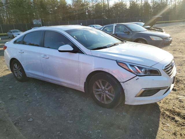 Photo 3 VIN: 5NPE24AF3HH500551 - HYUNDAI SONATA 