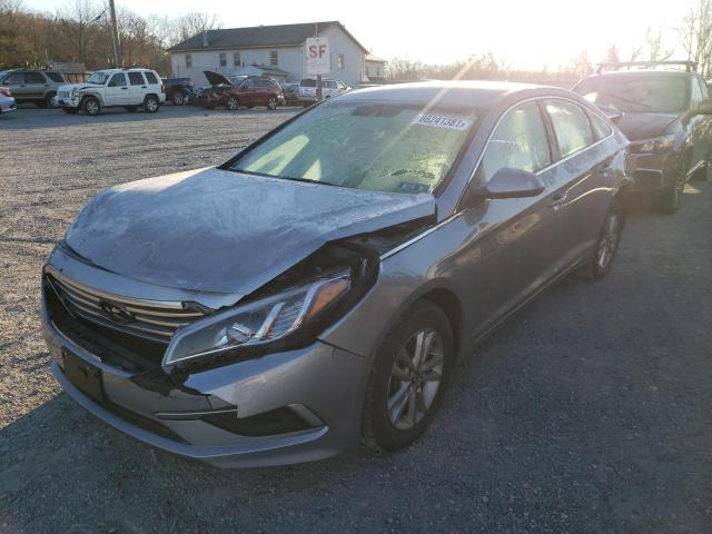 Photo 1 VIN: 5NPE24AF3HH503854 - HYUNDAI SONATA 