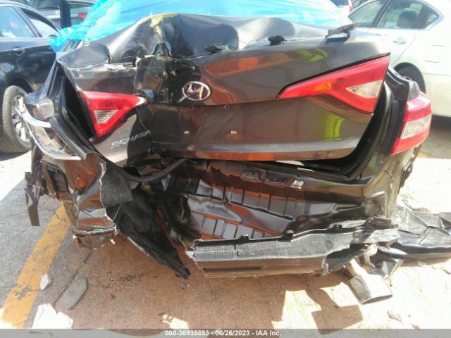 Photo 5 VIN: 5NPE24AF3HH518287 - HYUNDAI SONATA 