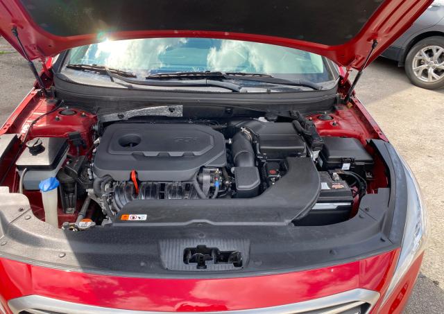 Photo 6 VIN: 5NPE24AF3HH534604 - HYUNDAI SONATA 