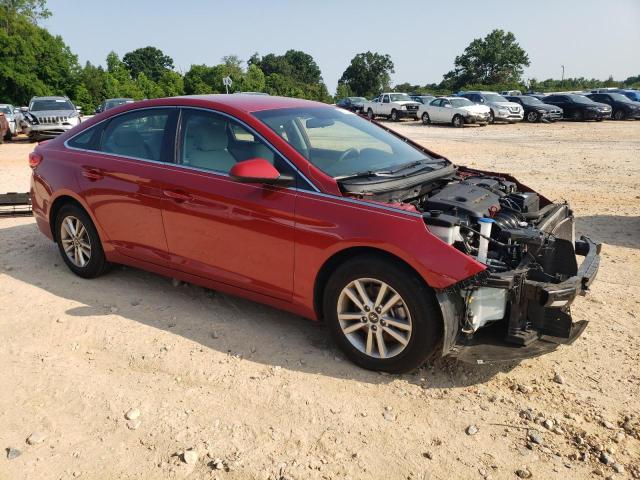 Photo 3 VIN: 5NPE24AF3HH548812 - HYUNDAI SONATA SE 