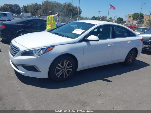 Photo 1 VIN: 5NPE24AF3HH566727 - HYUNDAI SONATA 