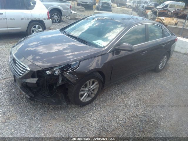 Photo 1 VIN: 5NPE24AF3HH574570 - HYUNDAI SONATA 