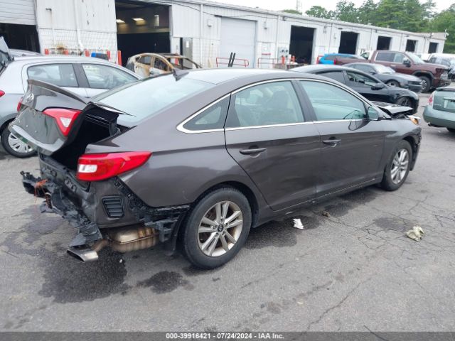 Photo 3 VIN: 5NPE24AF3HH593586 - HYUNDAI SONATA 