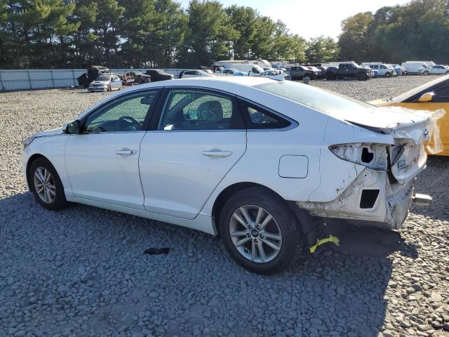 Photo 1 VIN: 5NPE24AF3HH596164 - HYUNDAI SONATA 