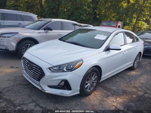 Photo 1 VIN: 5NPE24AF3KH744238 - HYUNDAI SONATA 