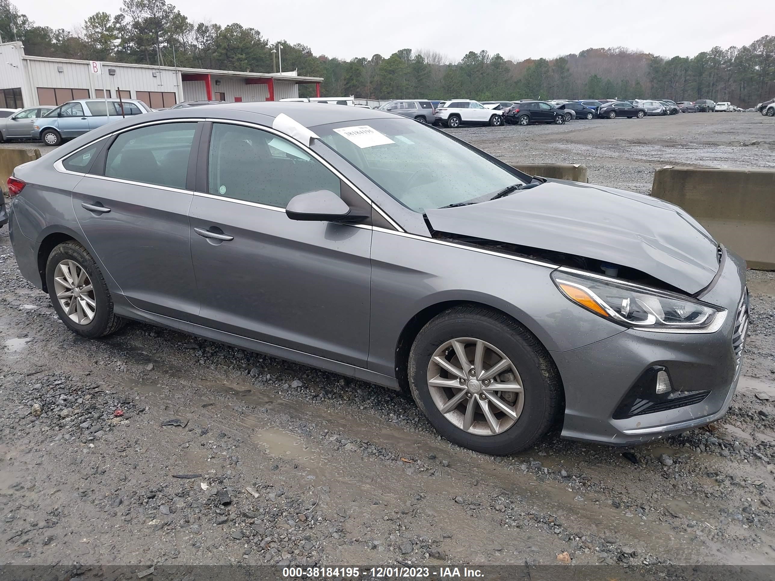 Photo 12 VIN: 5NPE24AF3KH749424 - HYUNDAI SONATA 