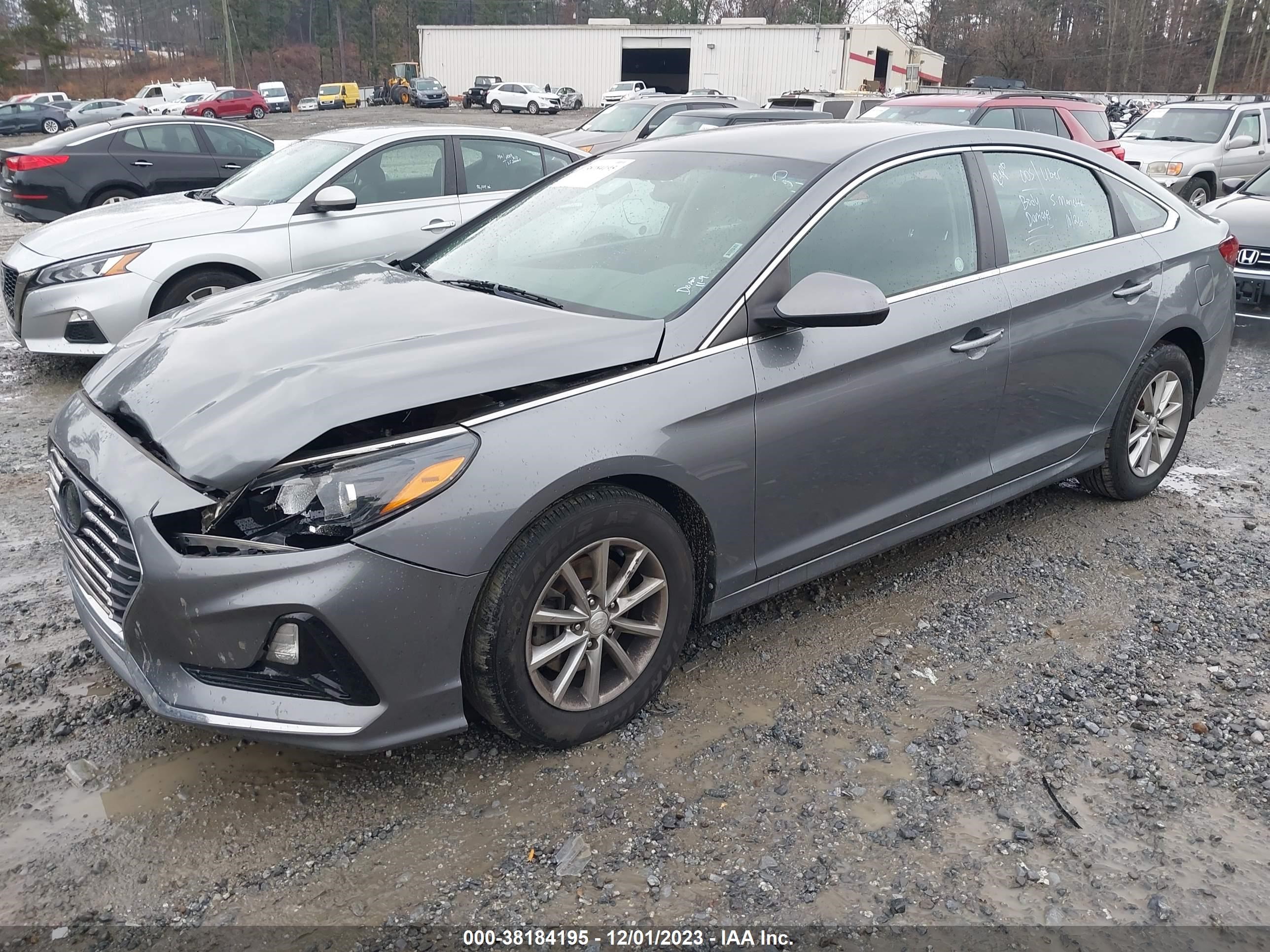 Photo 13 VIN: 5NPE24AF3KH749424 - HYUNDAI SONATA 