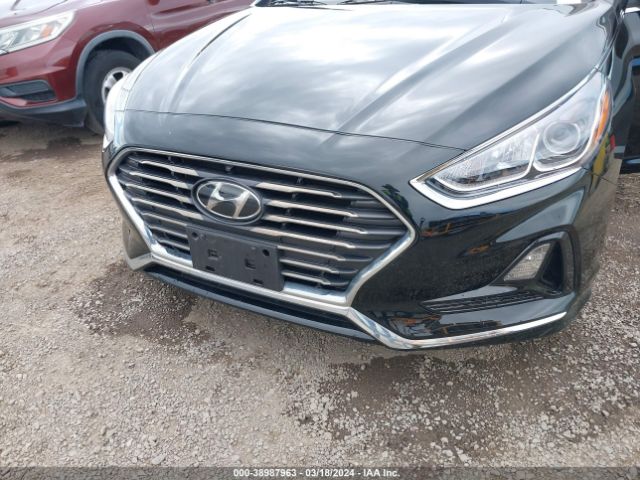 Photo 5 VIN: 5NPE24AF3KH757751 - HYUNDAI SONATA 