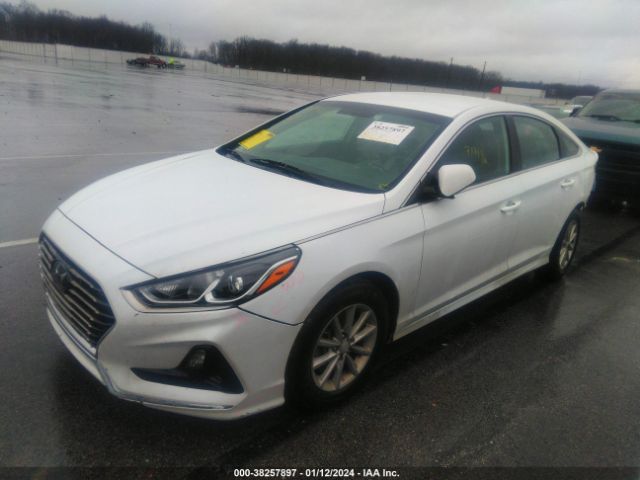 Photo 1 VIN: 5NPE24AF3KH772797 - HYUNDAI SONATA 