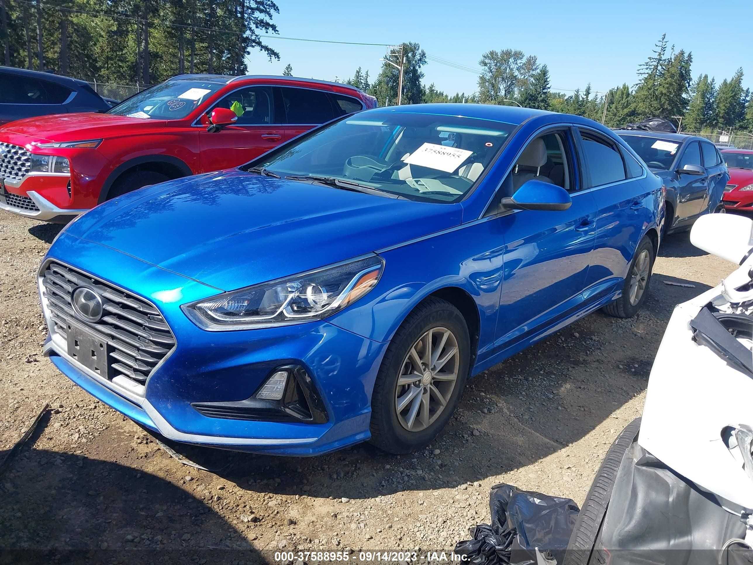 Photo 1 VIN: 5NPE24AF3KH775750 - HYUNDAI SONATA 