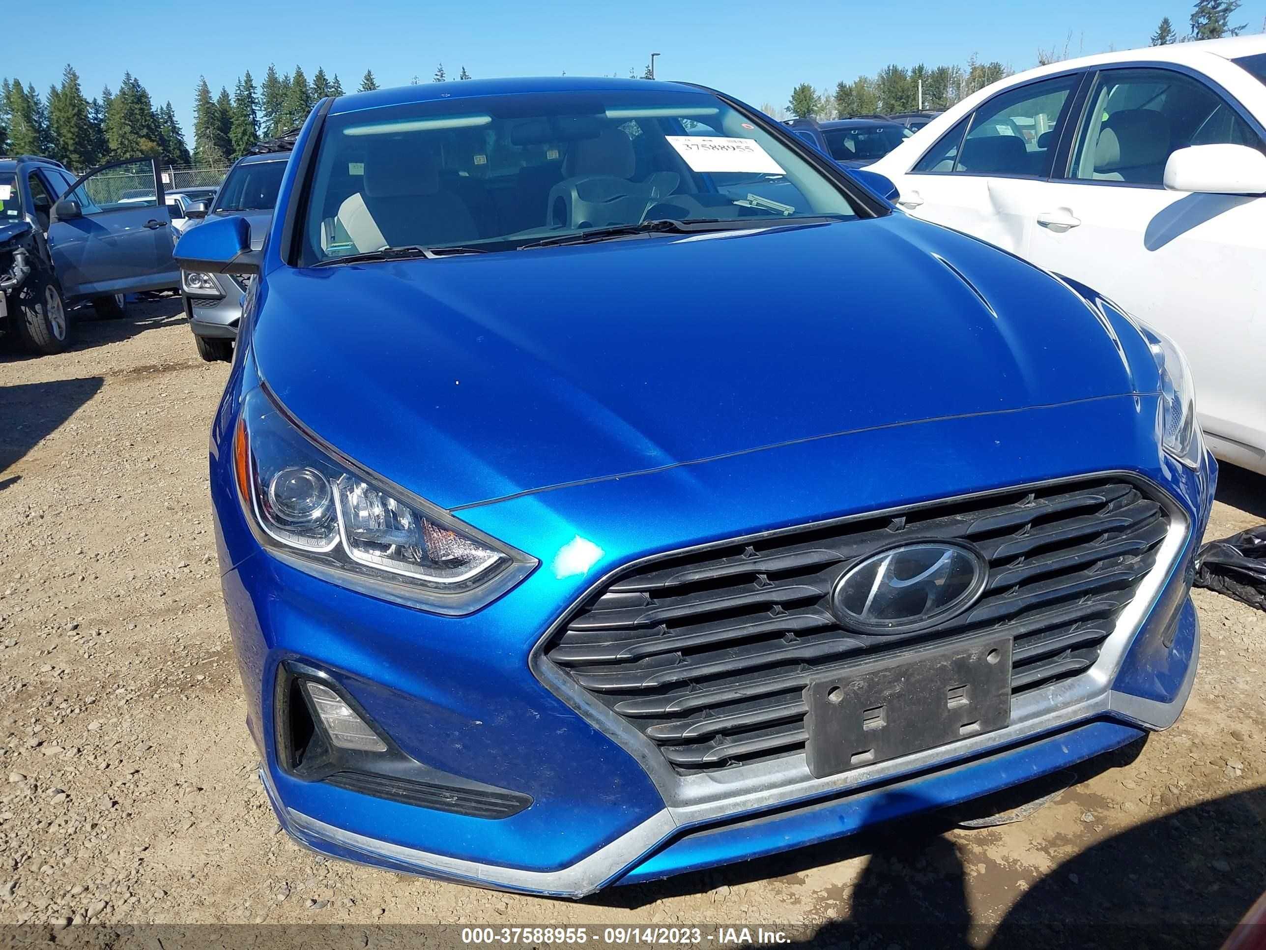 Photo 11 VIN: 5NPE24AF3KH775750 - HYUNDAI SONATA 