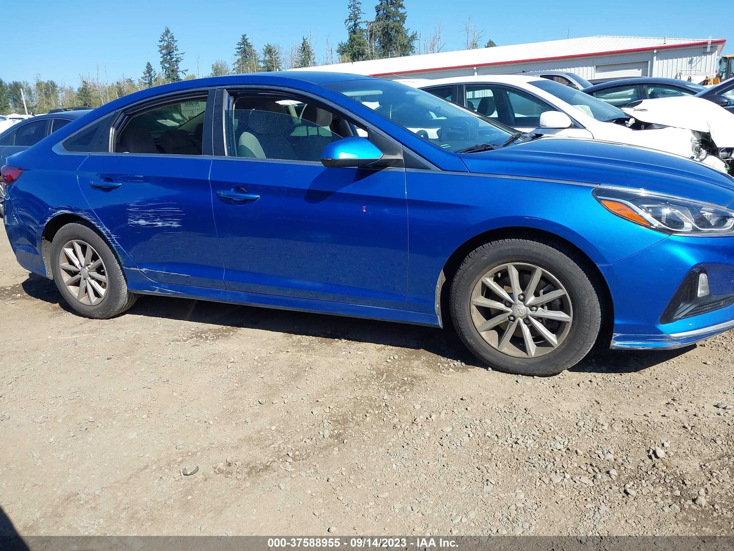 Photo 12 VIN: 5NPE24AF3KH775750 - HYUNDAI SONATA 