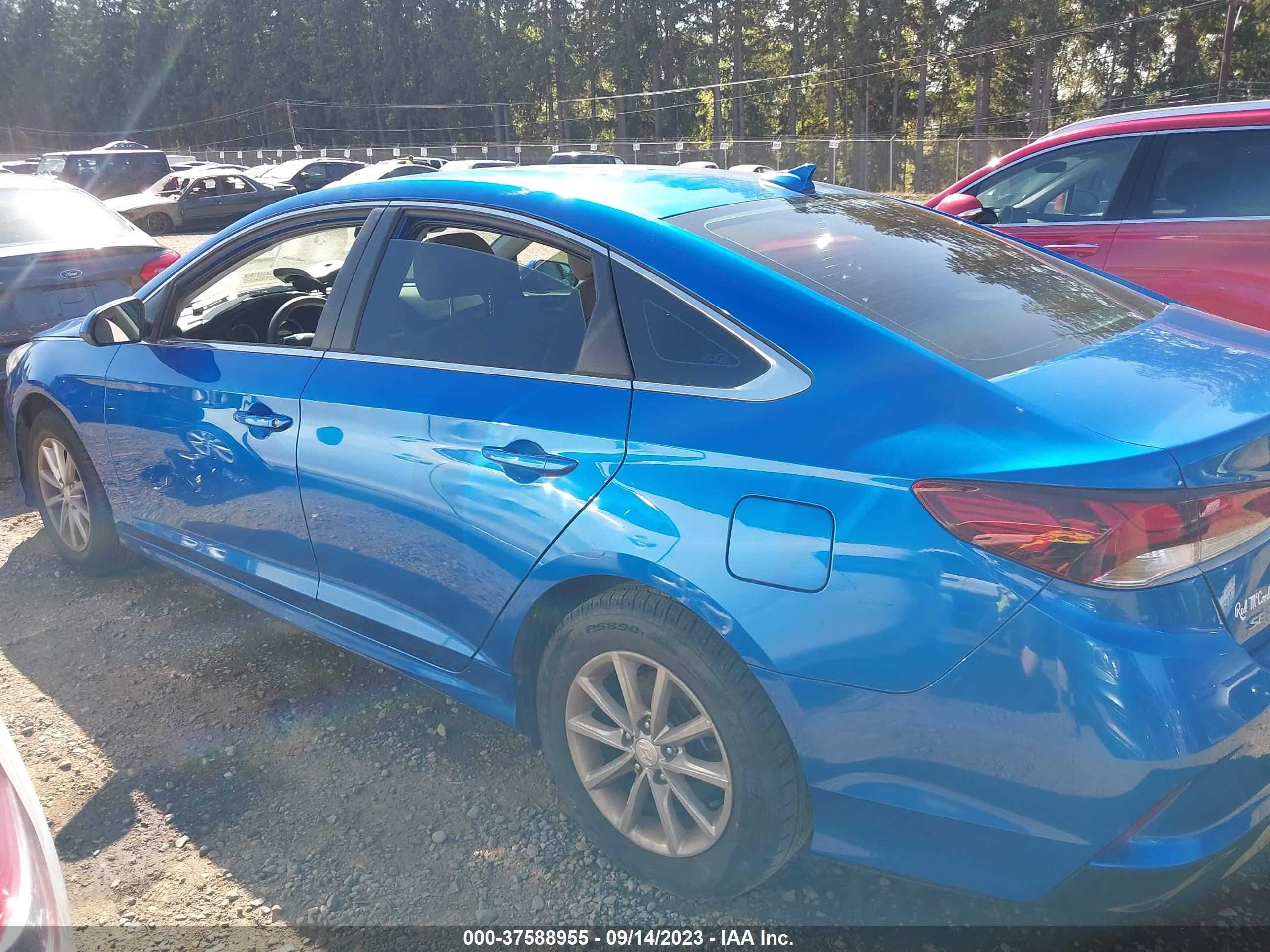 Photo 13 VIN: 5NPE24AF3KH775750 - HYUNDAI SONATA 