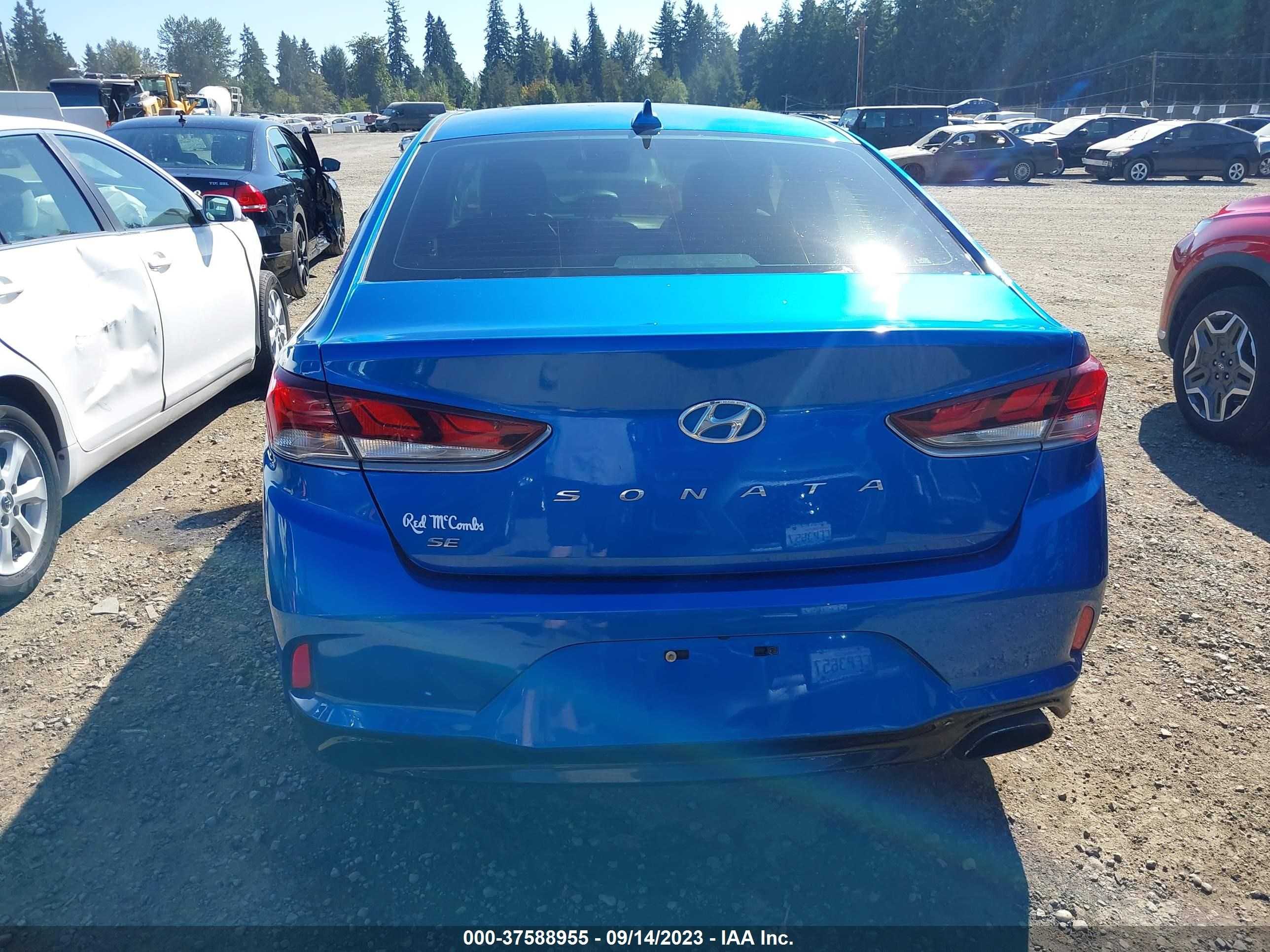 Photo 15 VIN: 5NPE24AF3KH775750 - HYUNDAI SONATA 