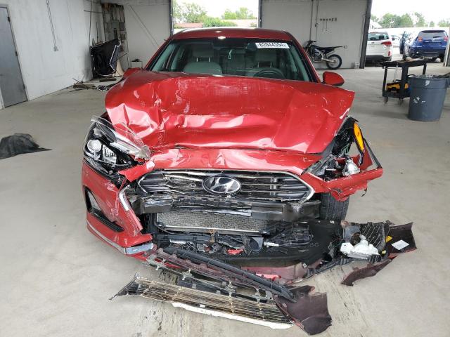 Photo 4 VIN: 5NPE24AF3KH779815 - HYUNDAI SONATA 