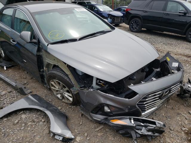 Photo 8 VIN: 5NPE24AF3KH804129 - HYUNDAI SONATA SE 