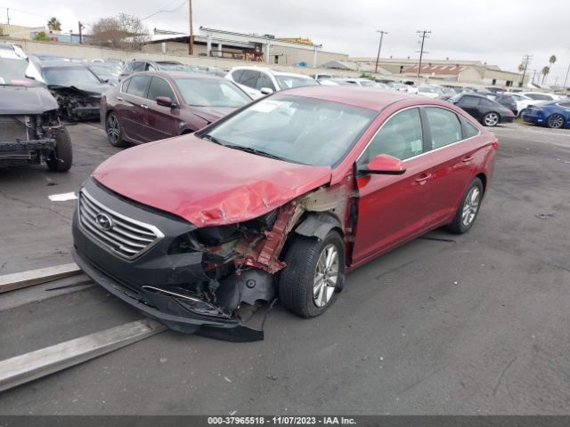 Photo 1 VIN: 5NPE24AF4FH258429 - HYUNDAI SONATA 