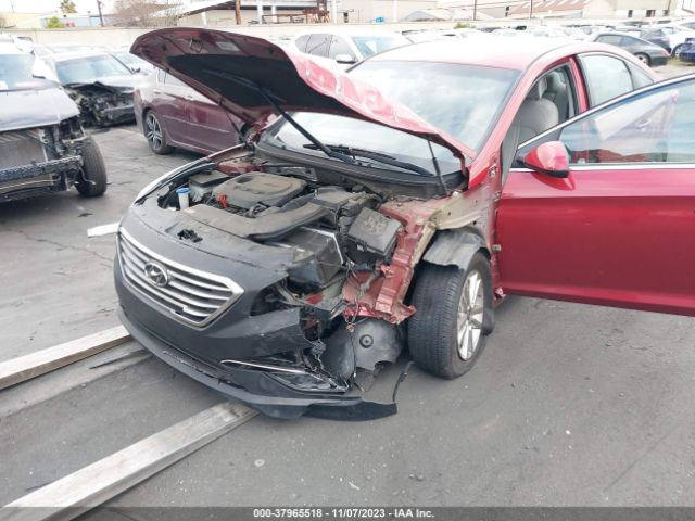 Photo 5 VIN: 5NPE24AF4FH258429 - HYUNDAI SONATA 